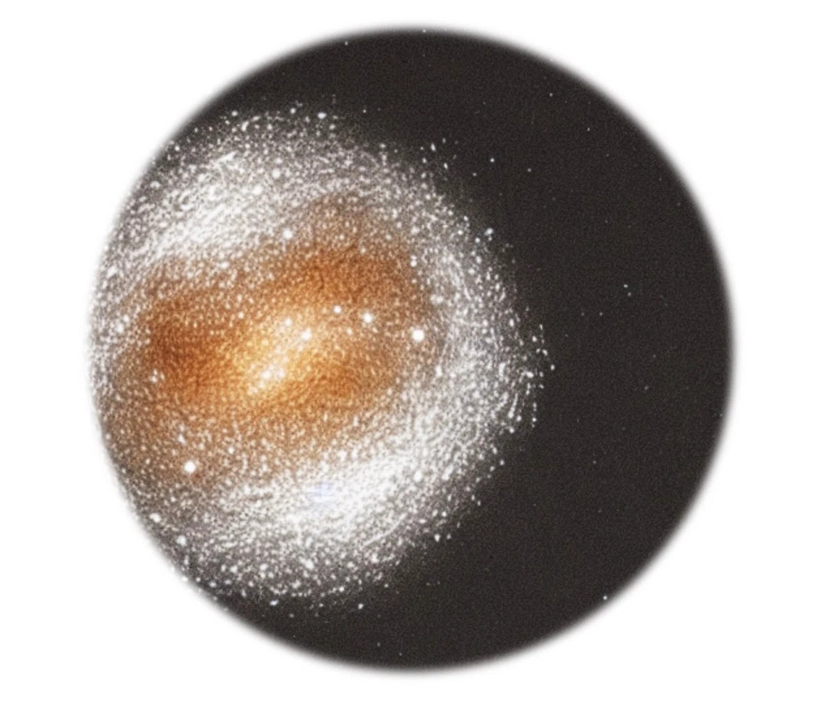 1692333906650-92jsQz3odE (1).jpg