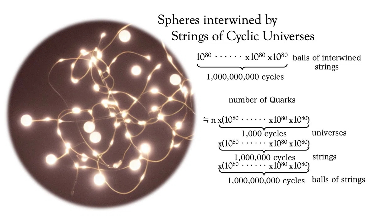 1692332952400-vRTQdSsElX (1).jpg