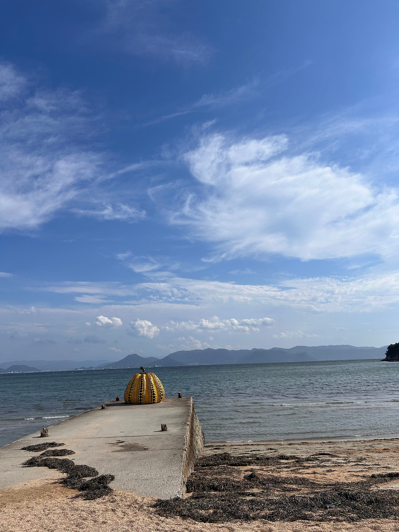 세토우치를 바라보는 호박.jpg