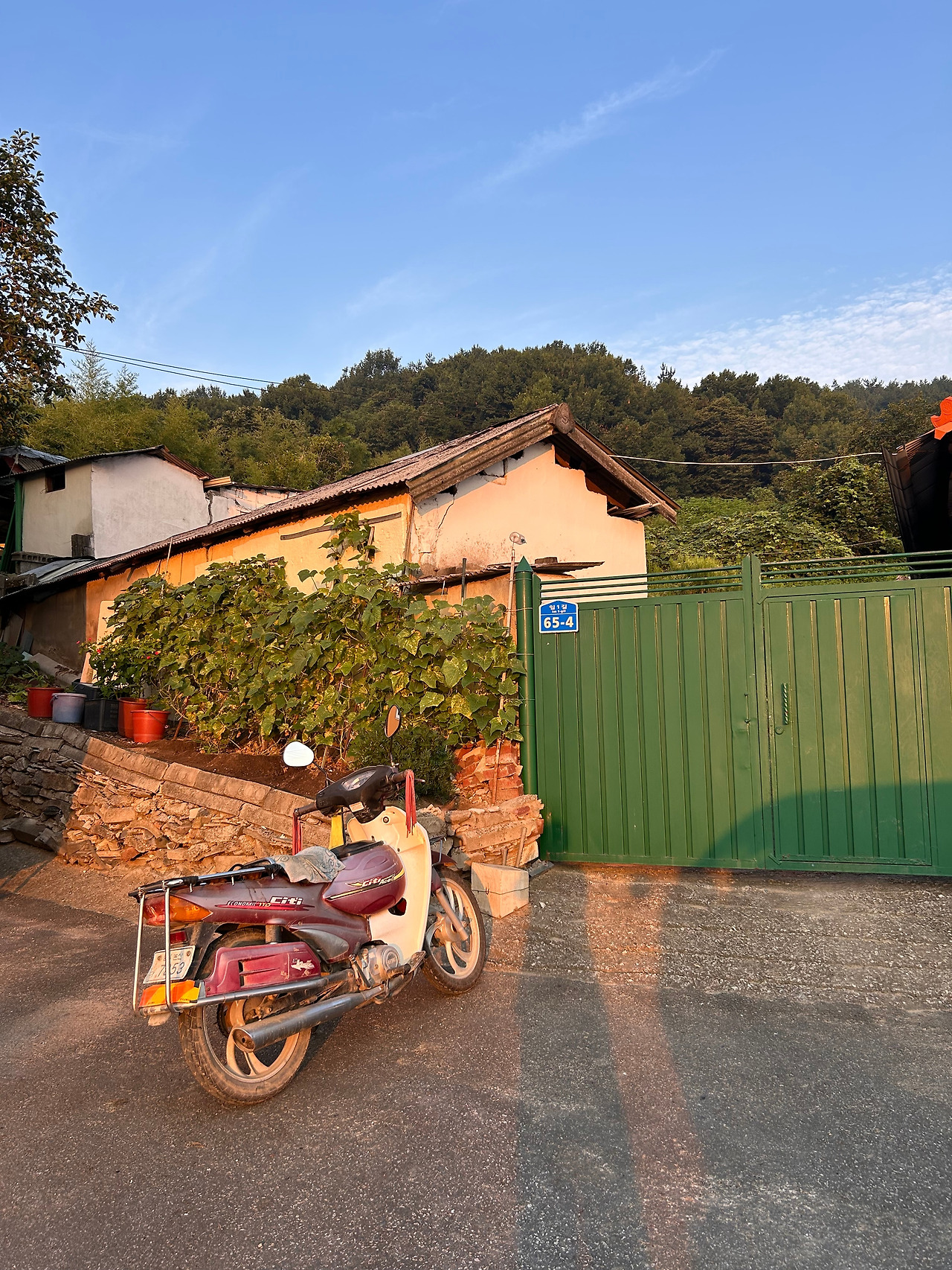 93세 임리 할아버지 오토바이.jpg