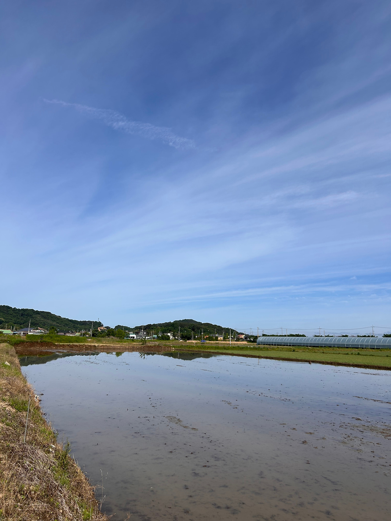 거울이 된논.jpg