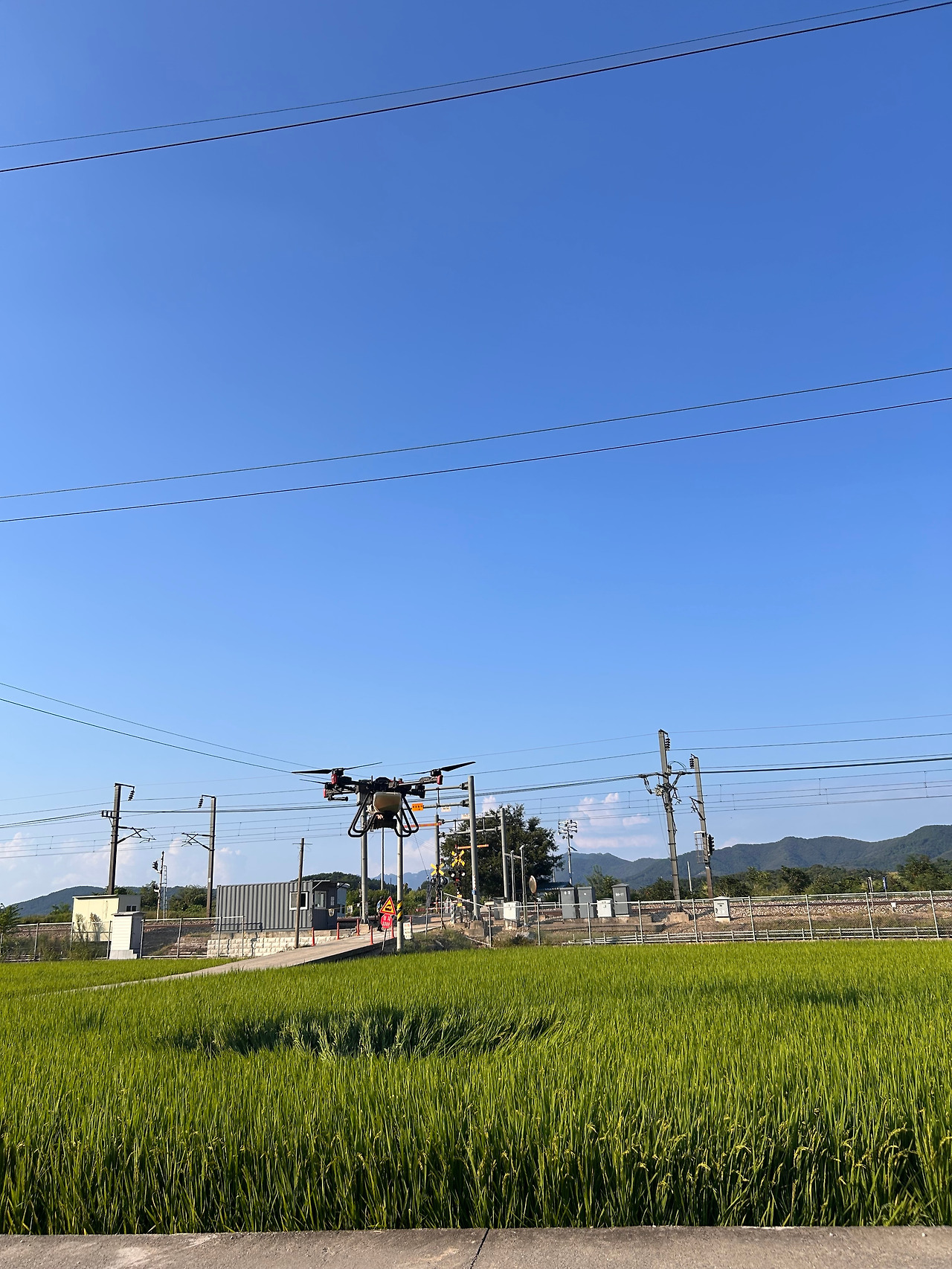 드론이 나르샤.jpg