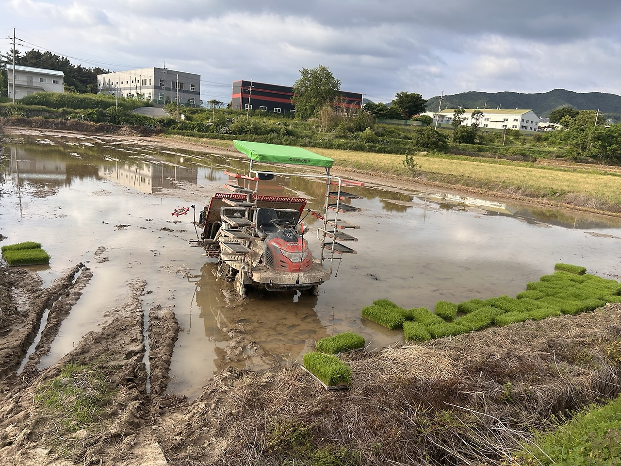 모내기 하는 이앙기.jpg