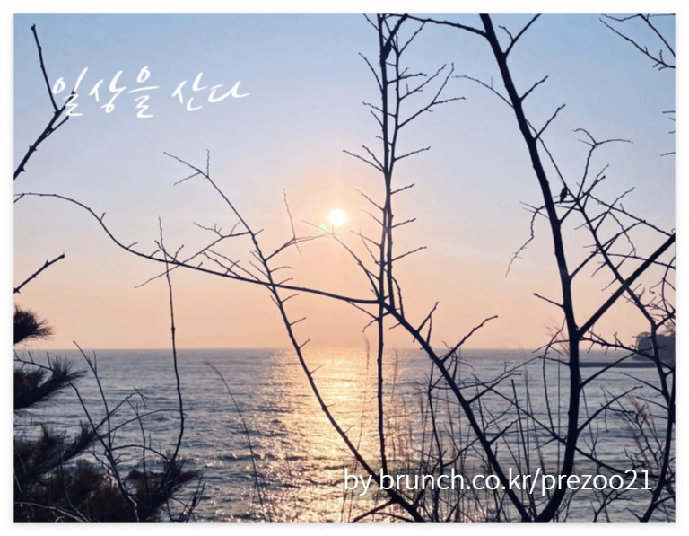 일상을 산다.jpg