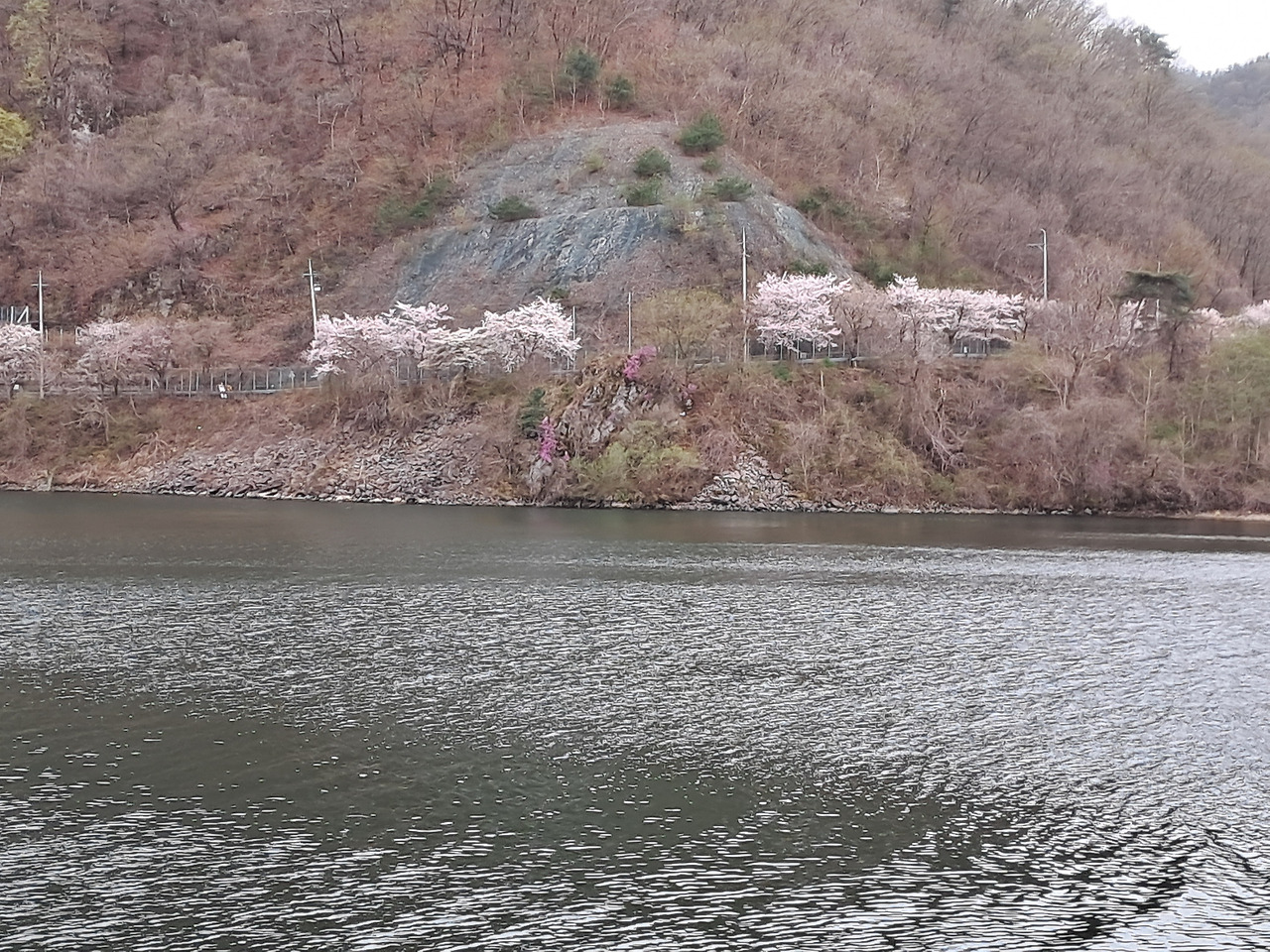 남이섬에서 본 산.jpg