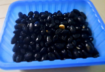 카지노 게임 사이트