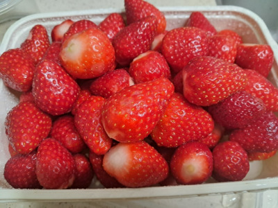 카지노 쿠폰