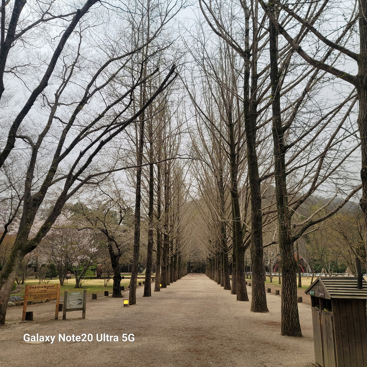 사랑의 오솔길에.jpg