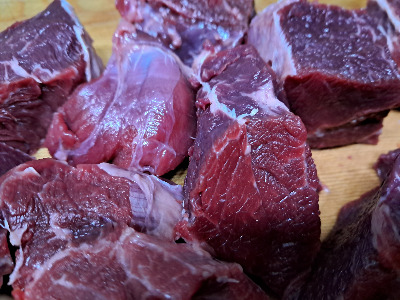 카지노 게임