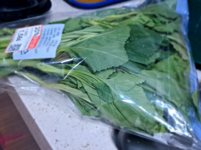 카지노 게임