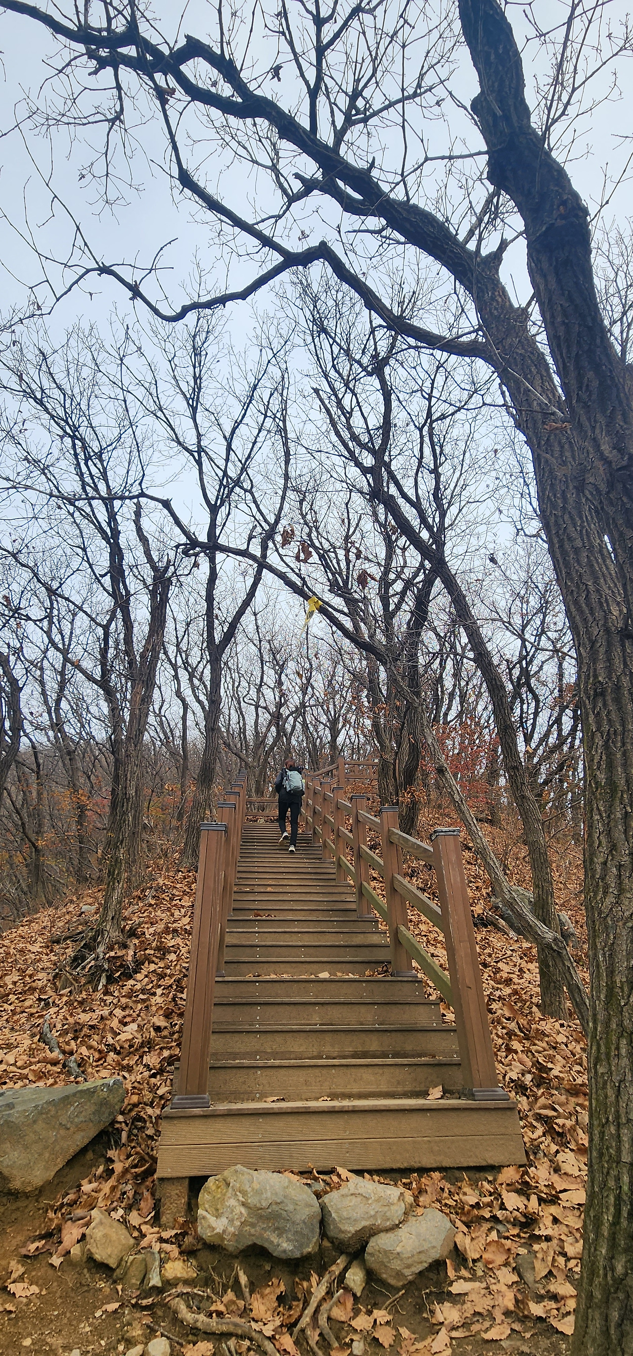 예봉산 계단.jpg