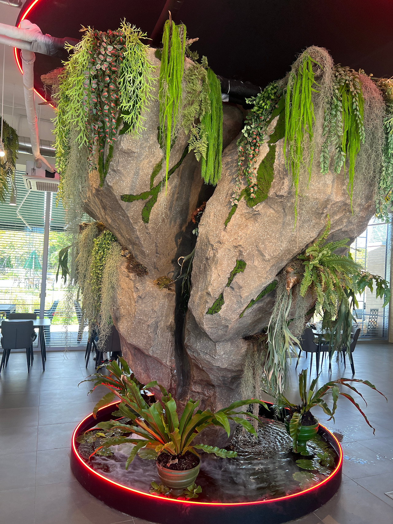 아들 레스토랑.jpg