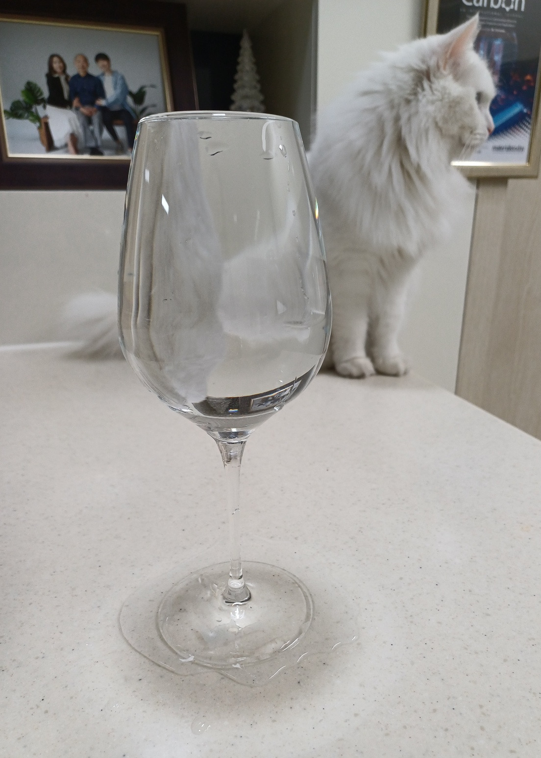 가득유리잔.jpg