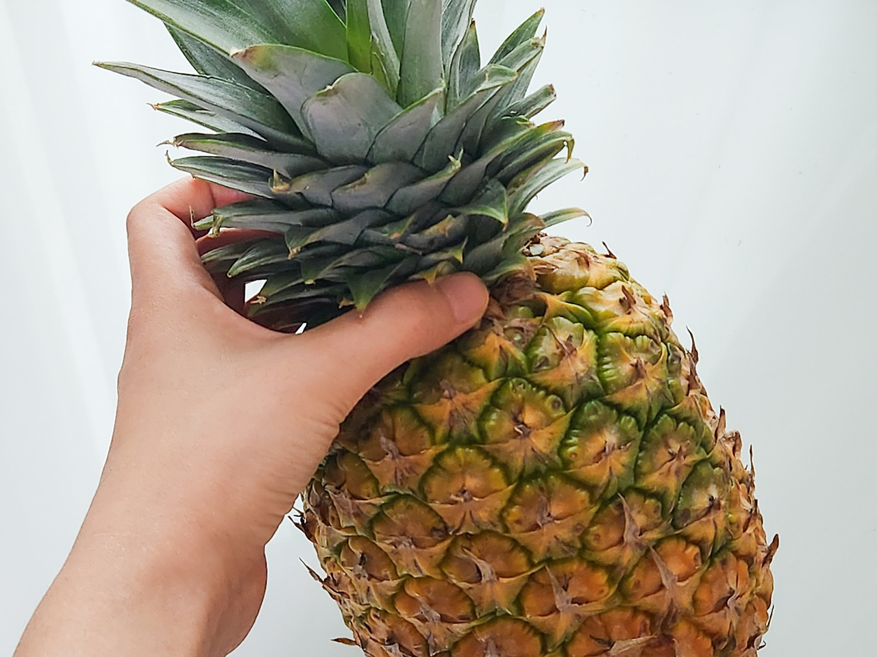 브런치_일상_파인애플 (1).jpg