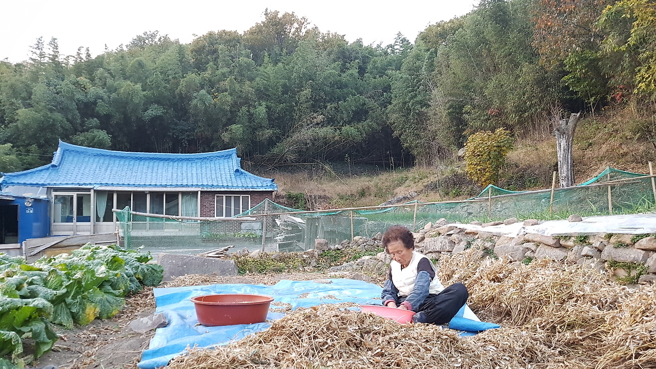 삼장수 고부 20171110_170552.jpg