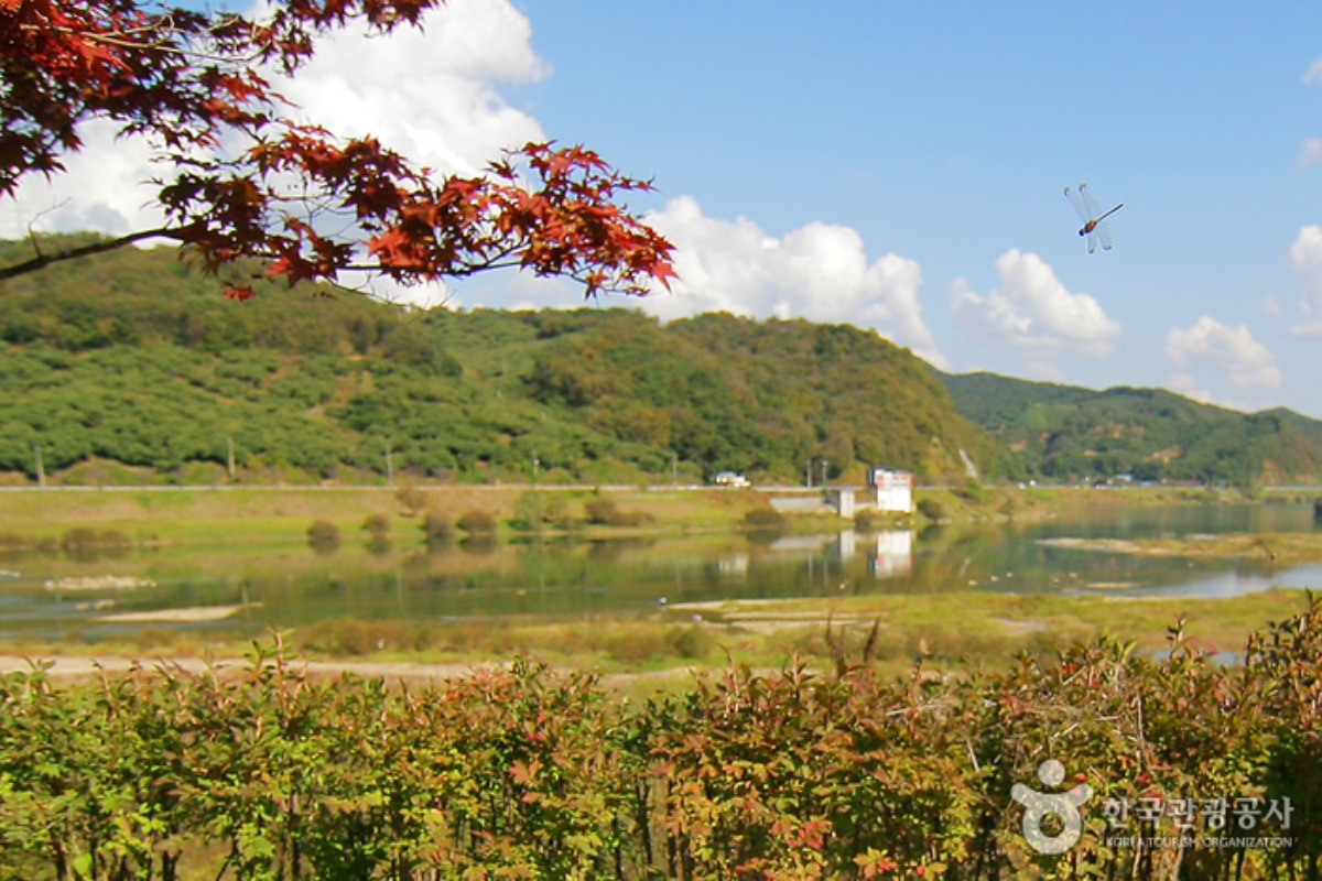 batch_[공공누리 Type3]1854838_image2_1_image.jpg