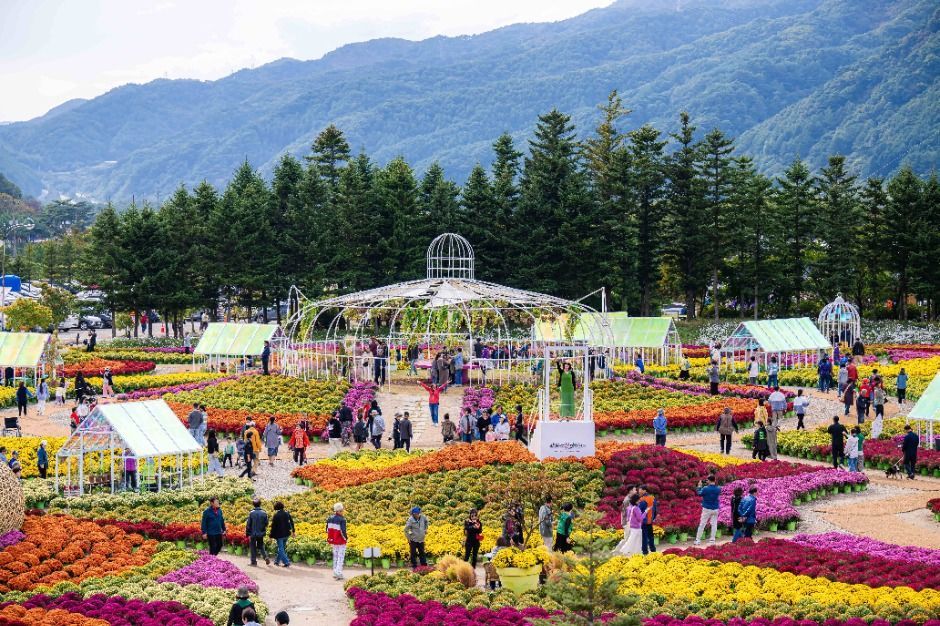 [공공누리 Type3]3539812_image2_1_image.jpg