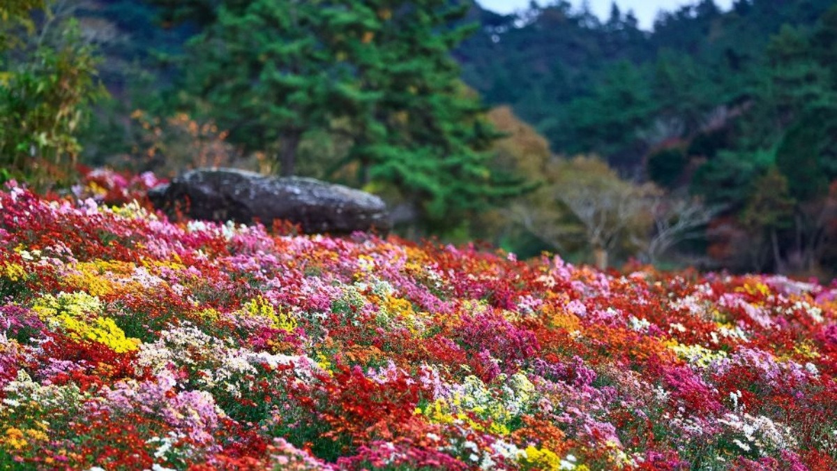 batch_[공공누리 Type3]3547599_image2_1_image.jpg