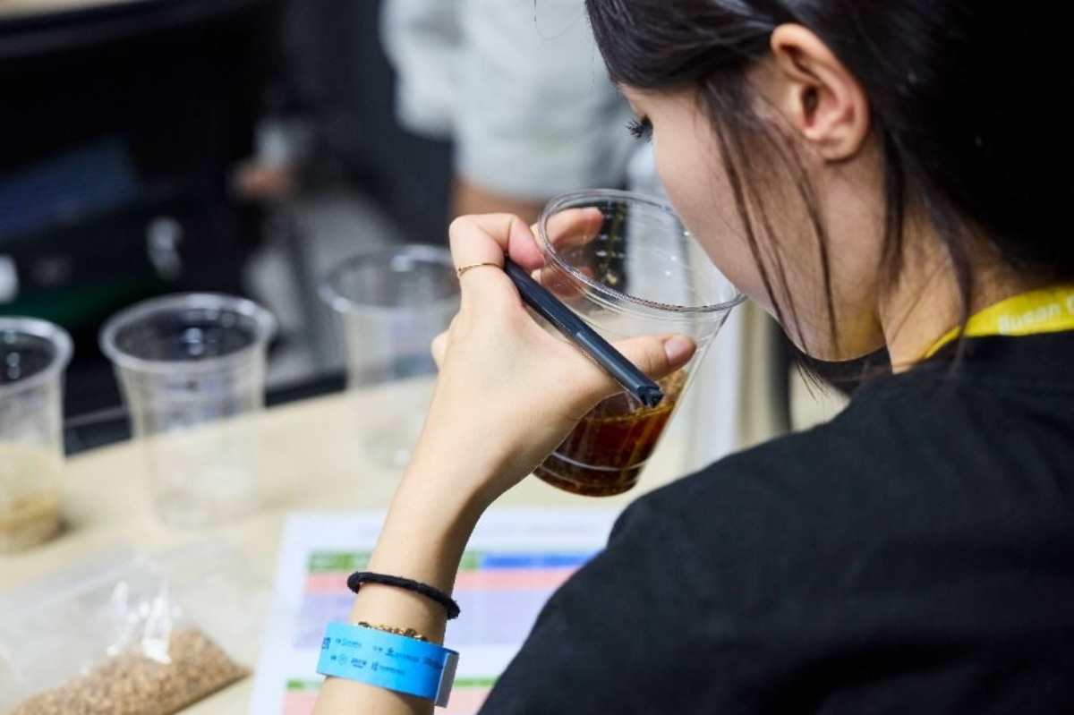 batch_[공공누리 Type3]3536455_image2_1_image.jpg