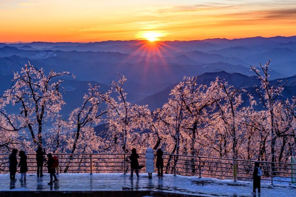 Gangwon-winter-1024x683.jpg