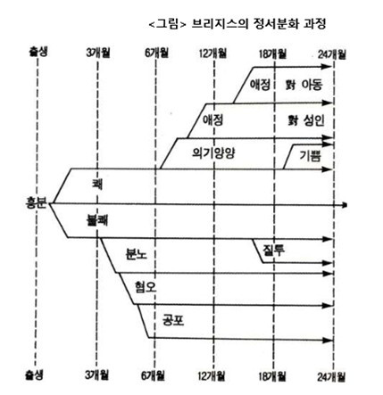 감정의 발달2.jpg
