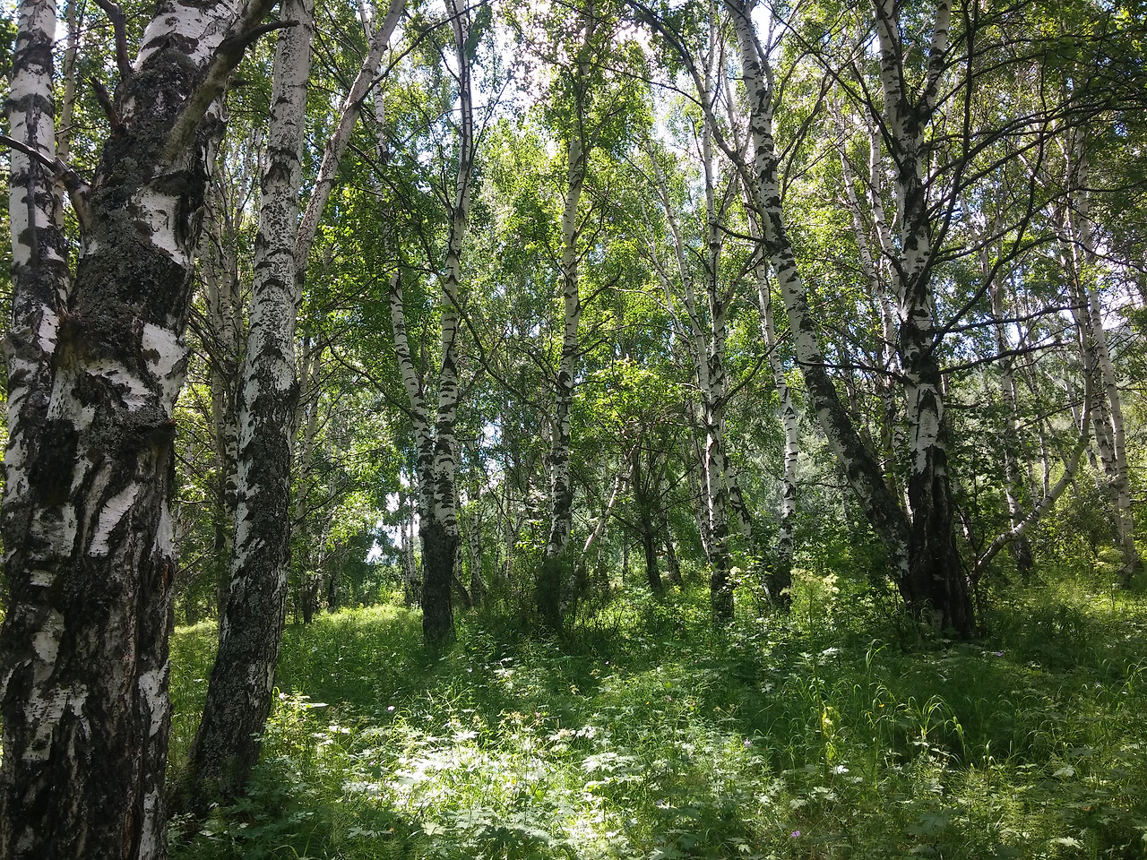 사본 -20170722_143718.jpg