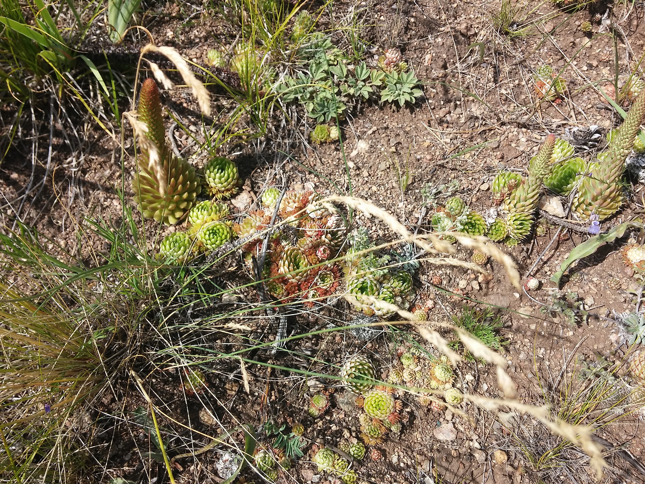 사본 -20170723_162518.jpg