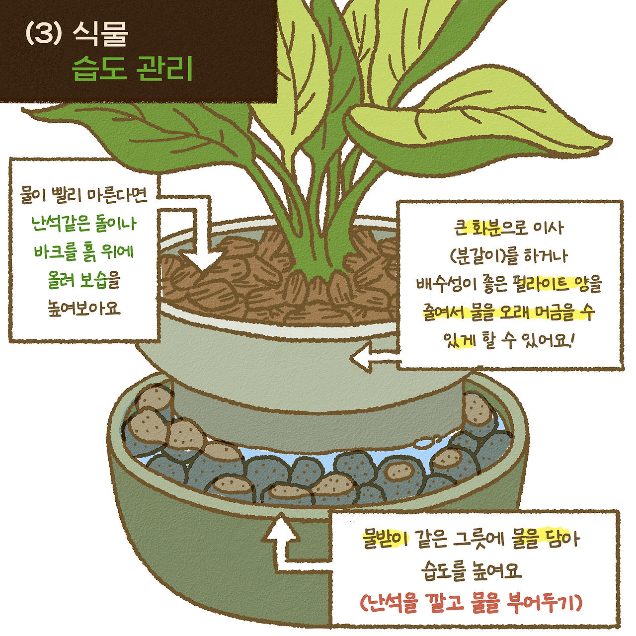 13화-여름관리-4 복사.jpg
