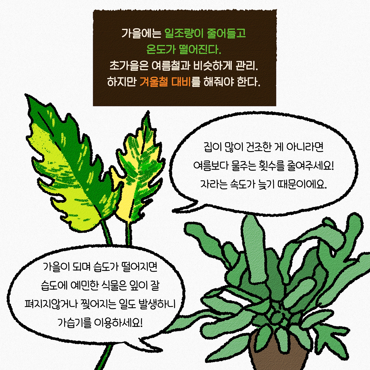 25_가을철식물관리법-2.jpg