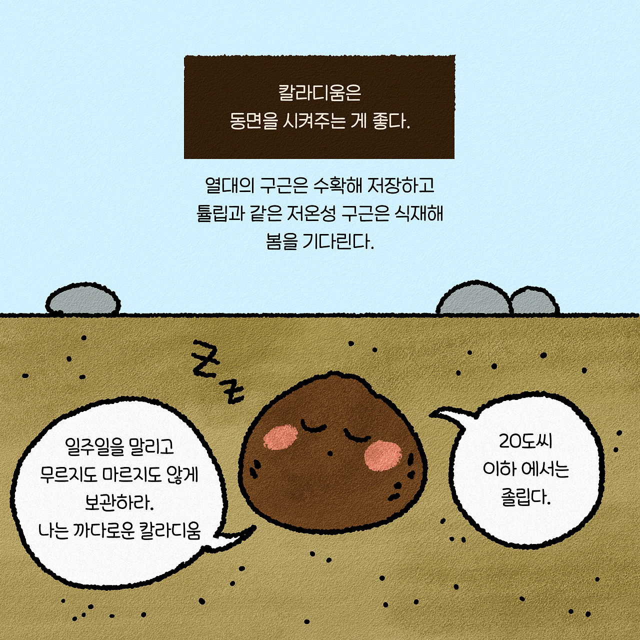 25_가을철식물관리법-7.jpg
