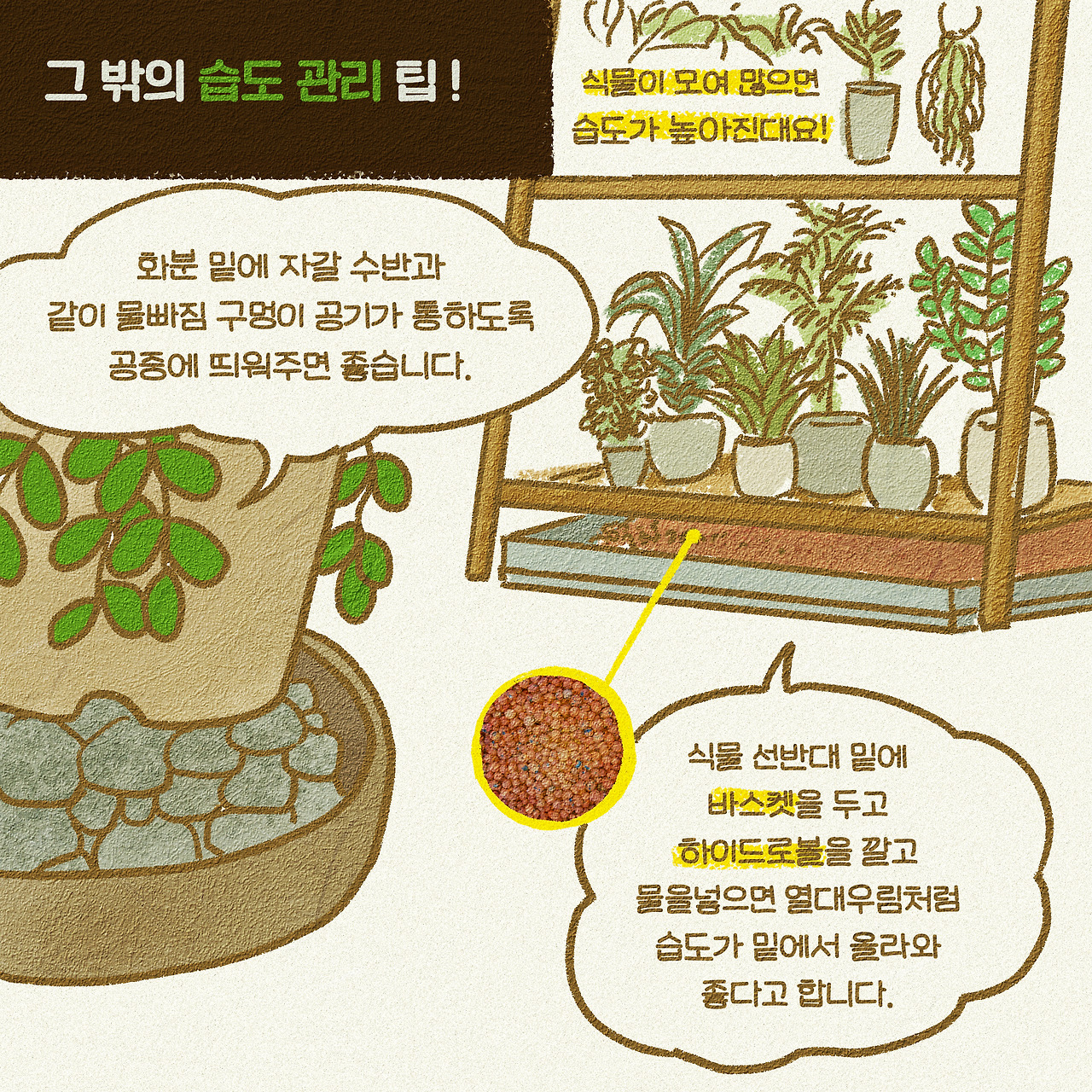 6화-봄철관리7 - 복사본.jpg