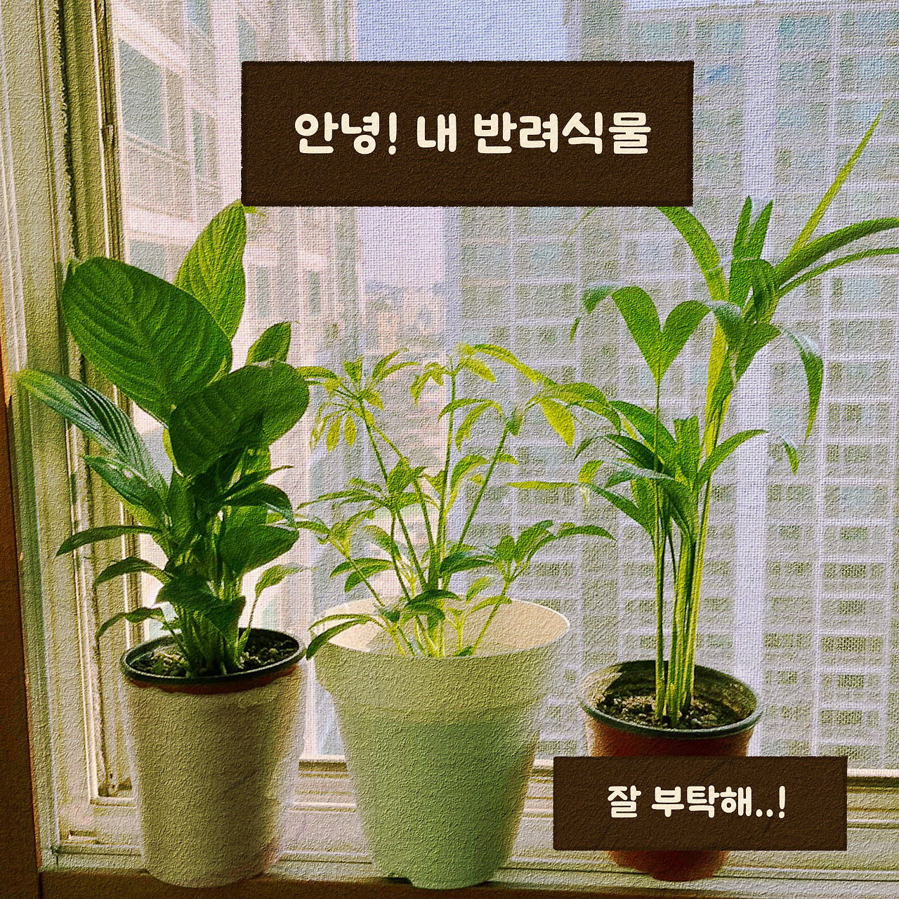 3화 안녕내 반려식물-10-2.jpg