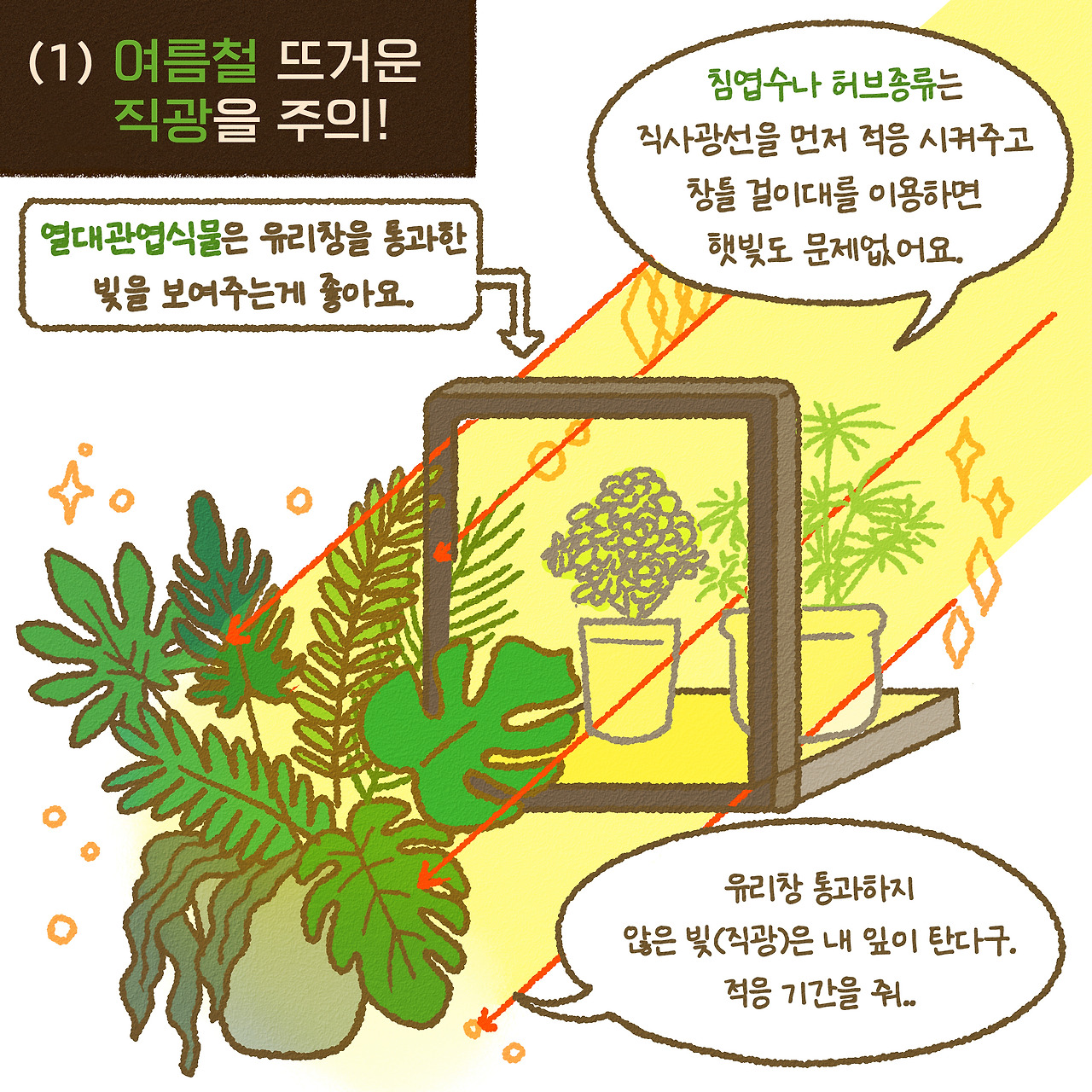 새로-다시작업13화-여름관리-1.jpg