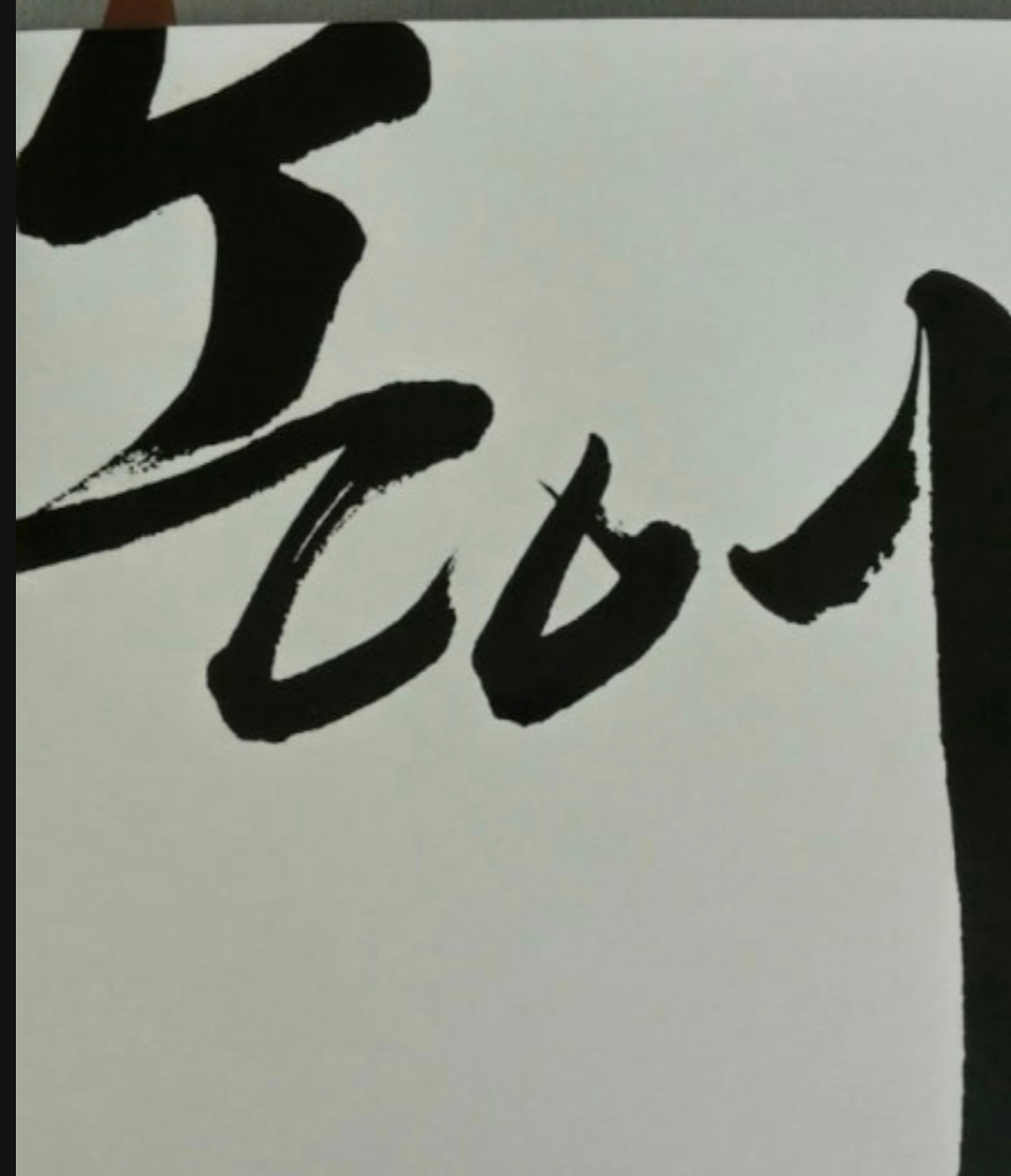 카지노 게임 사이트