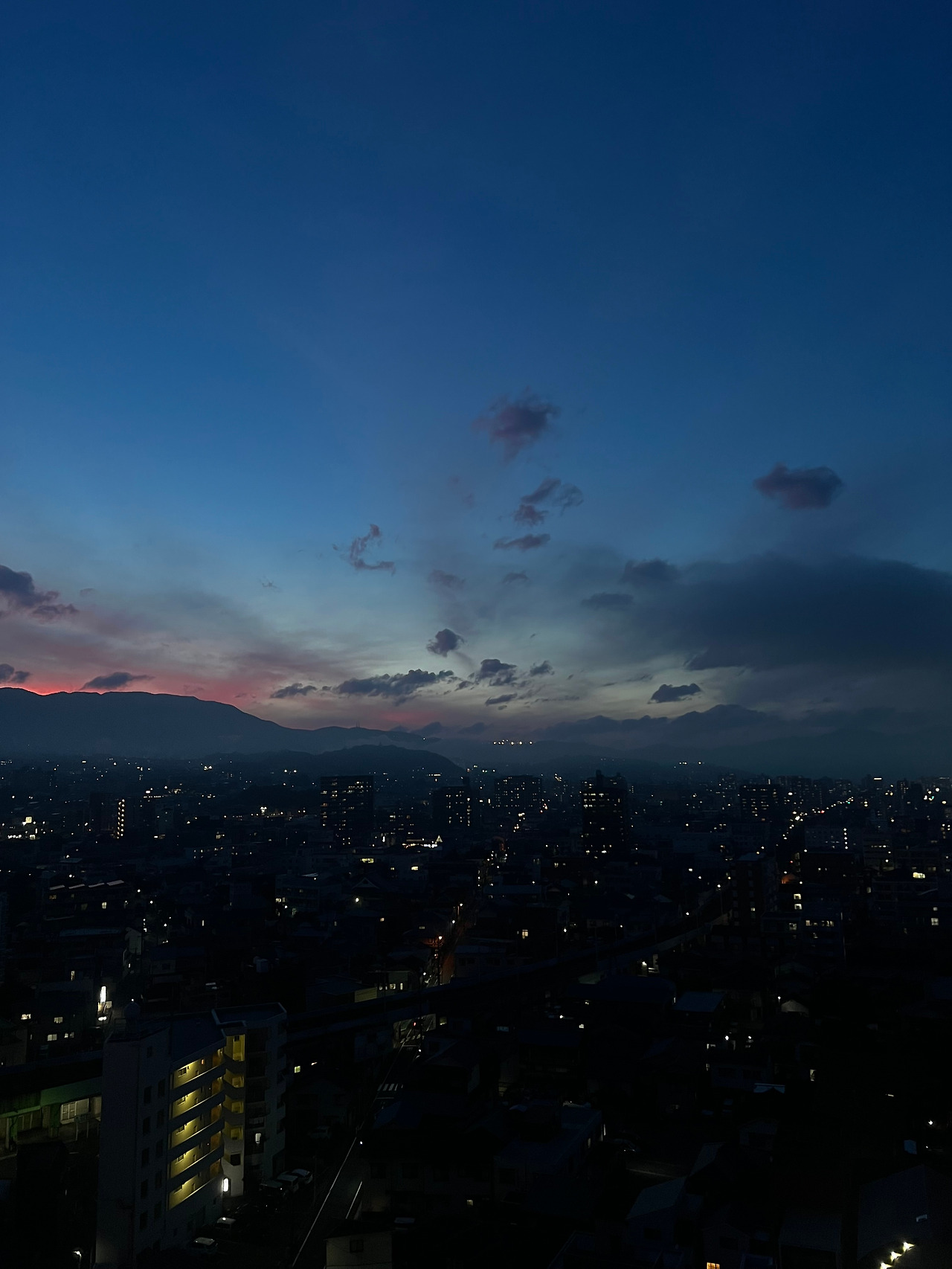 브런치 벳부사진.jpg