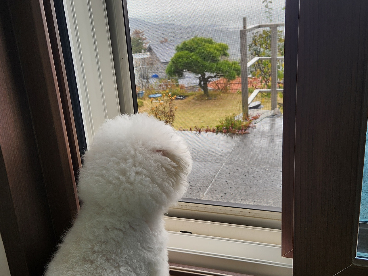 달이 뒷모습.jpg