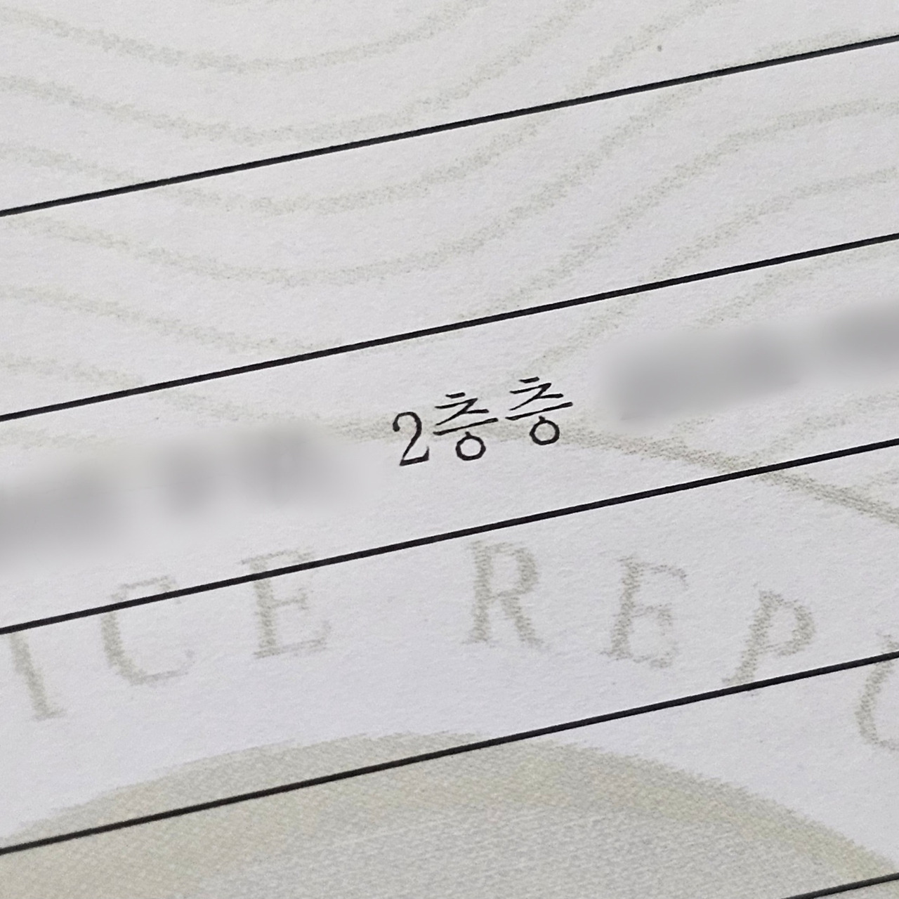 Point Blur_Jul162025_135852.jpg