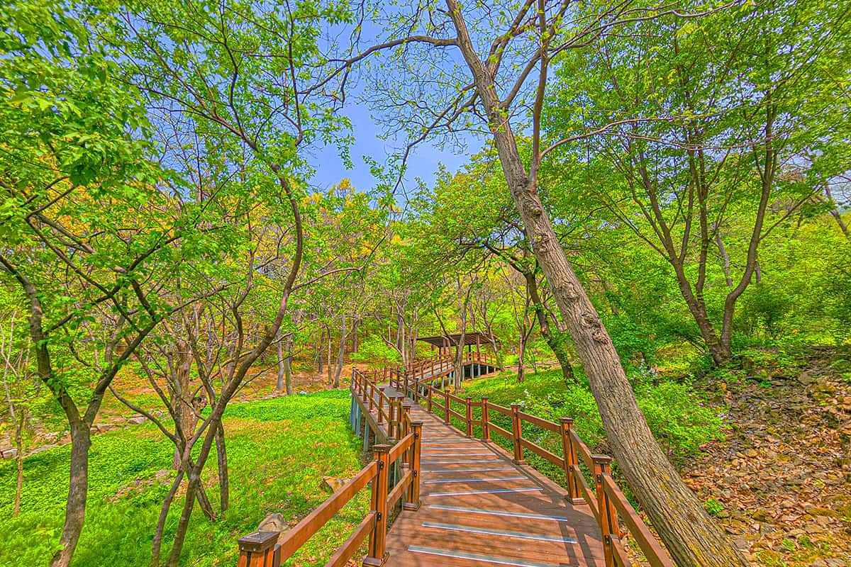 Yongin-Natural-Recreation-Forest-6.jpg