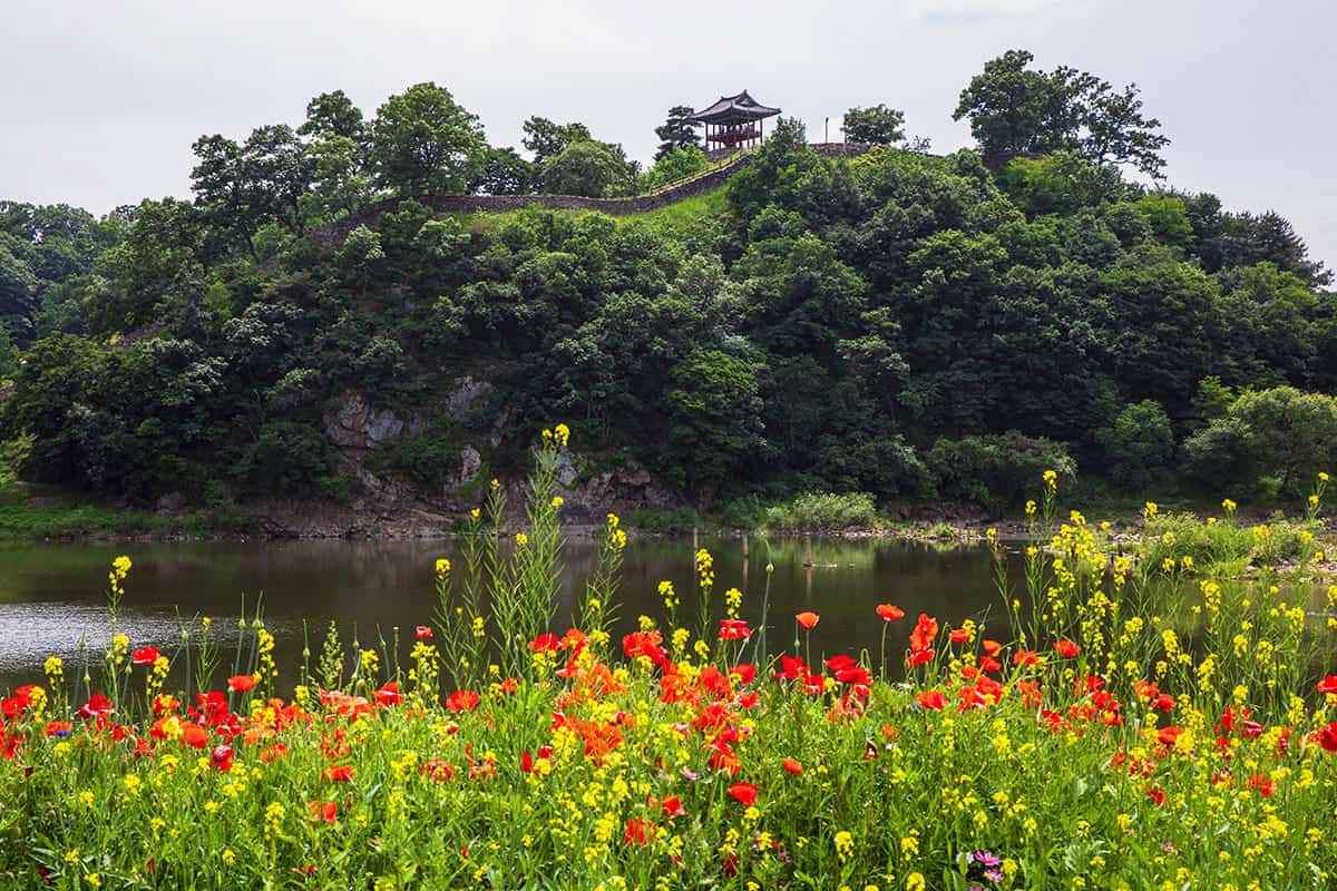 geongju-spring-attractions2.jpg