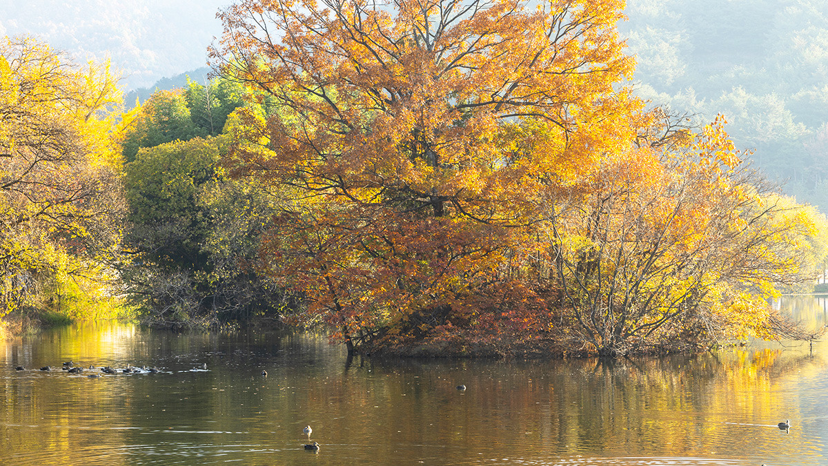 Miryang Wiyangji Wanjaejeong5.jpg
