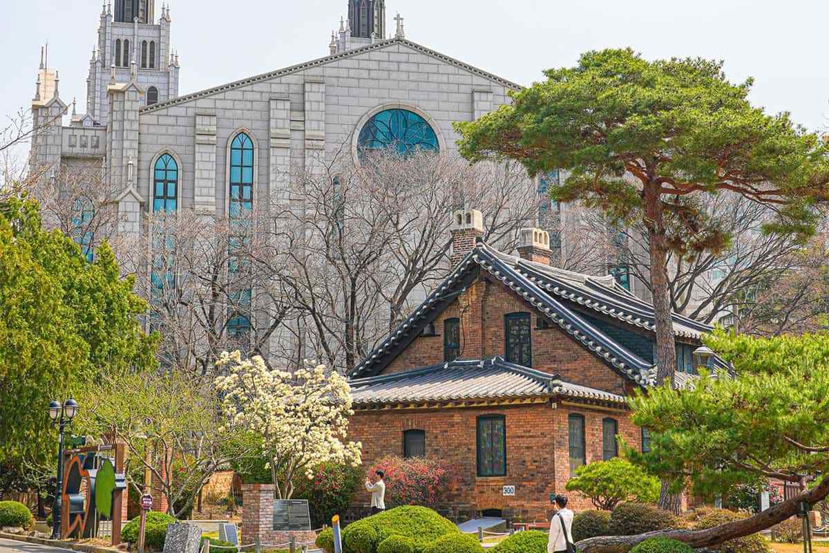Daegu-Magnolia-Attractions1.jpg