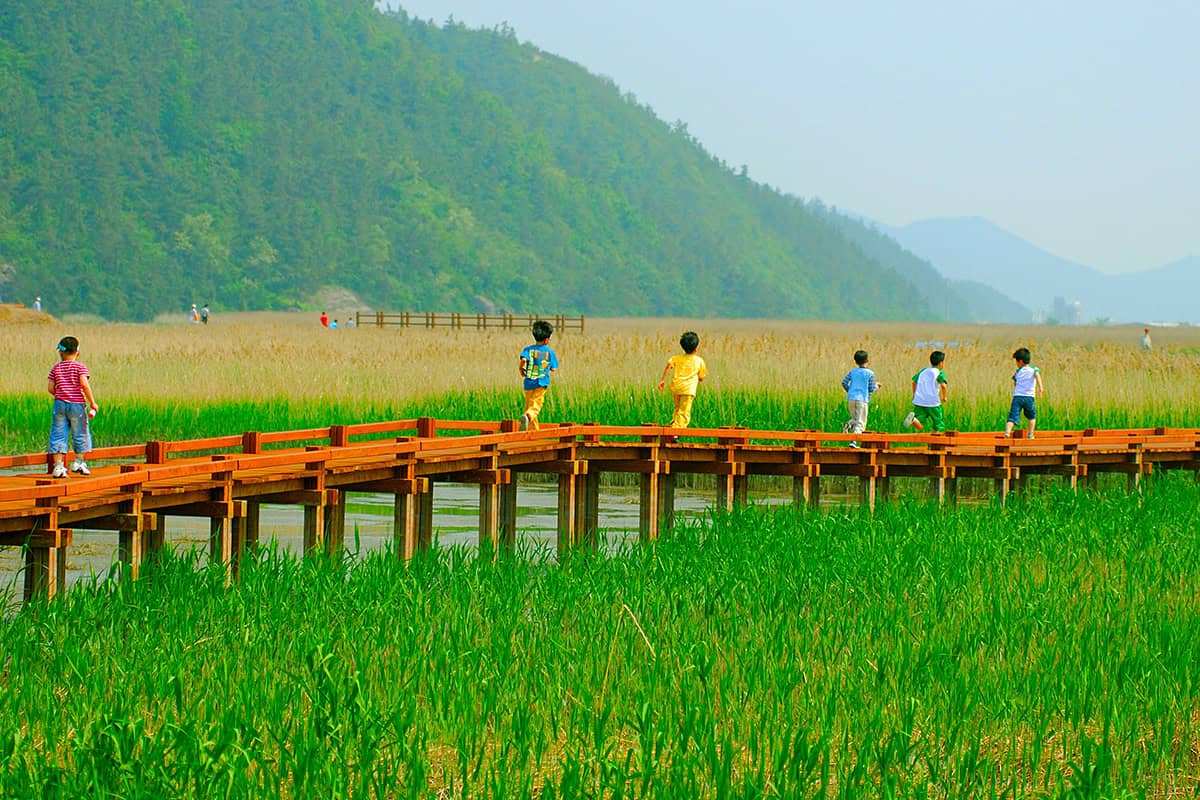 Suncheon-Bay-Wetland-1.jpg