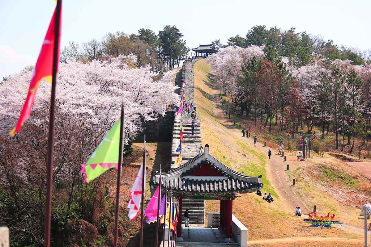 Miryang-free-flower-viewing-spot3.jpg