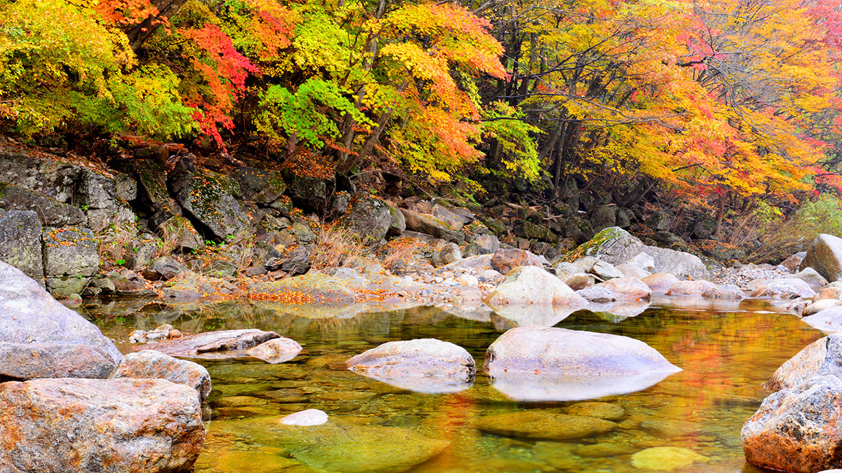 Gurye Piagol Autumn Foliage6.jpg