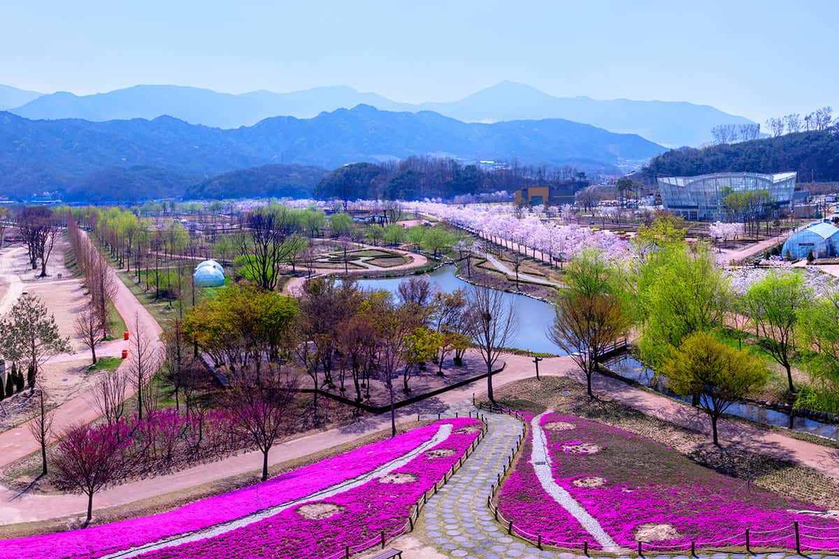 Geochang-spring-travel-destination4-1.jpg