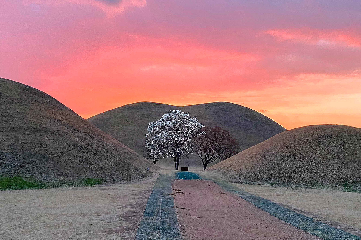 제목 없음-46+6.jpg