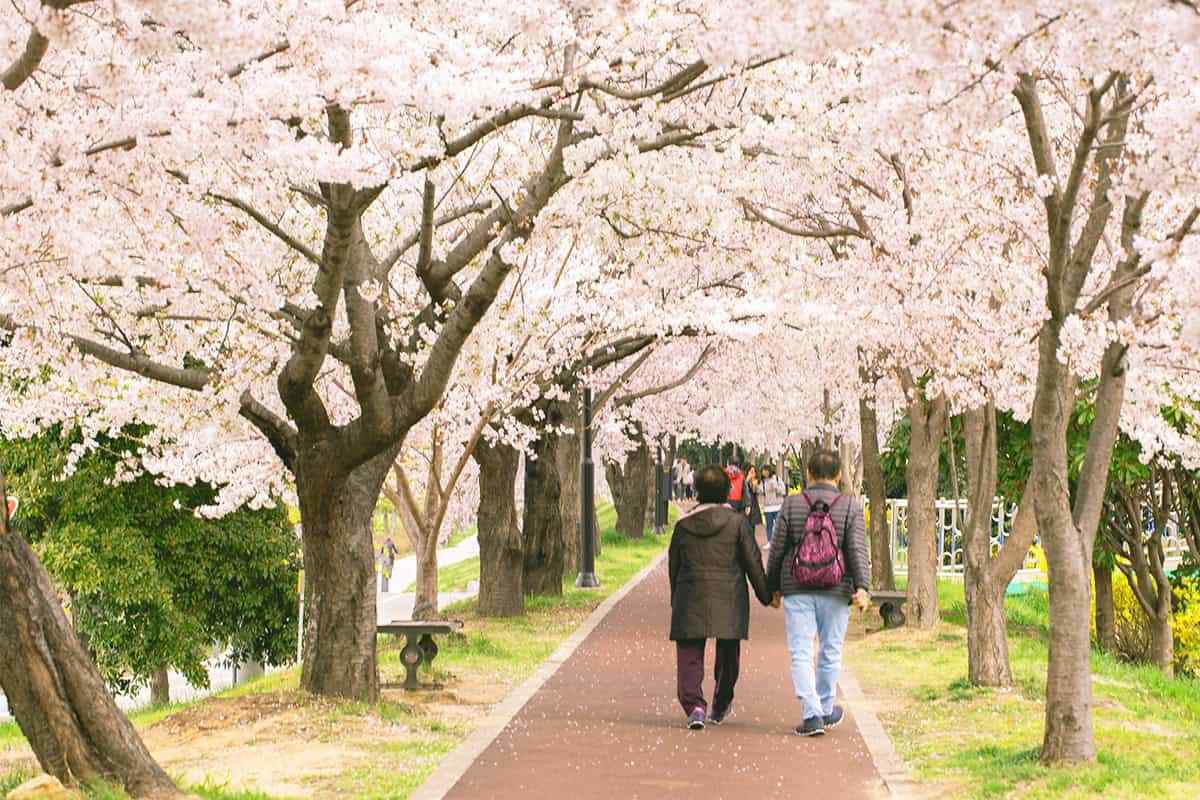Busan-spring-travel-destinations5-1.jpg