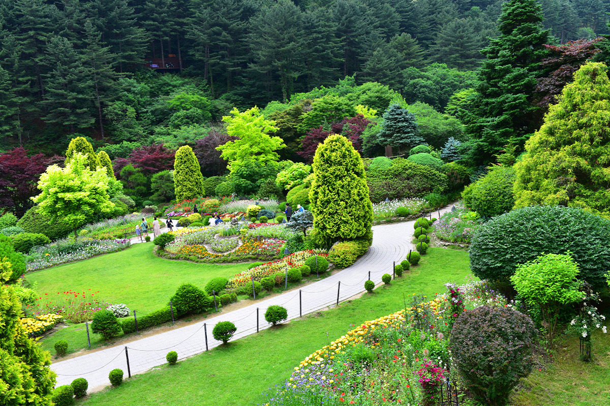 Gapyeong winter attractions1.jpg