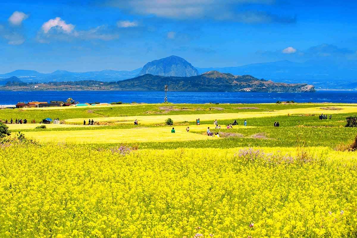 Jeju-Islands-Spring-Island-Travel-Area-2.jpg