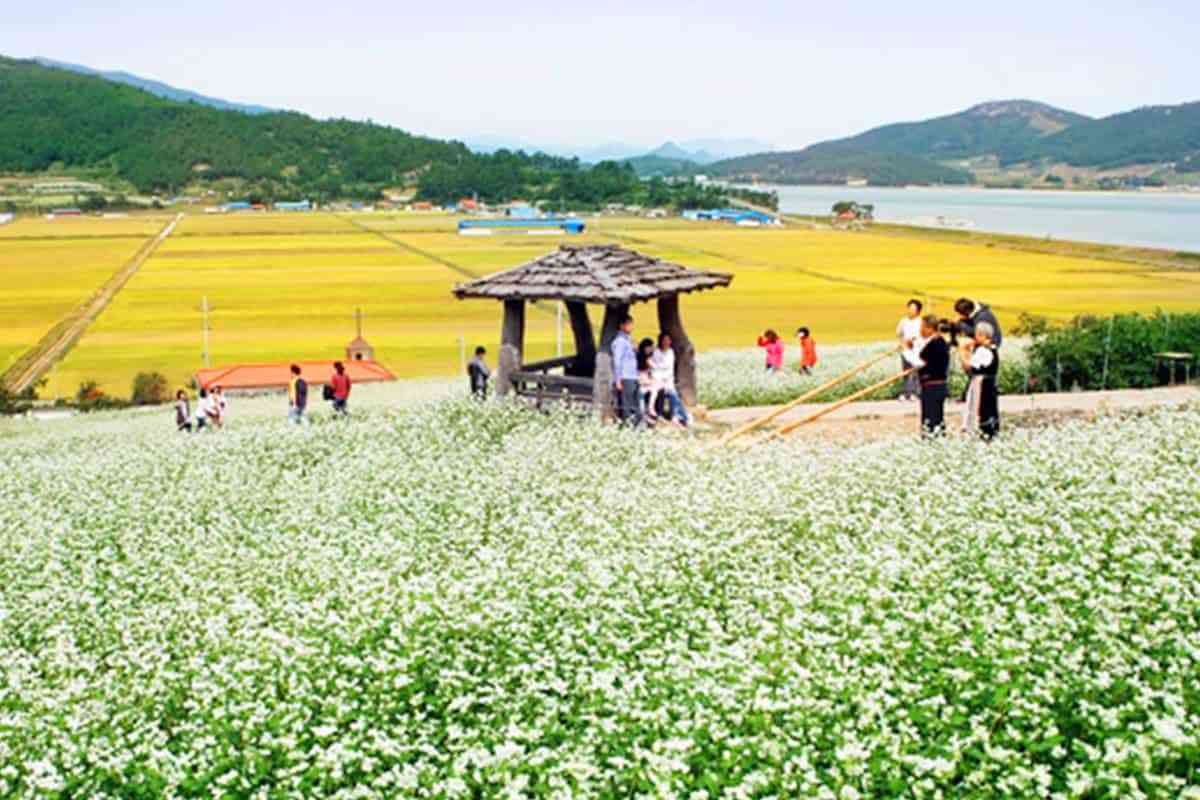 Best-tourist-village-in-Jangheung-gun2.jpg